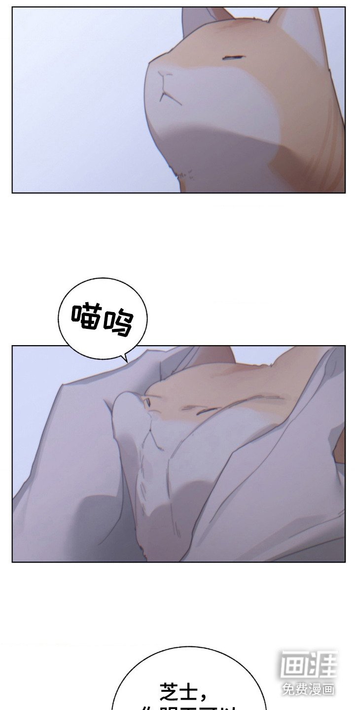 第19章：想念