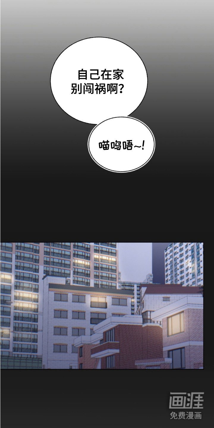 第19章：想念