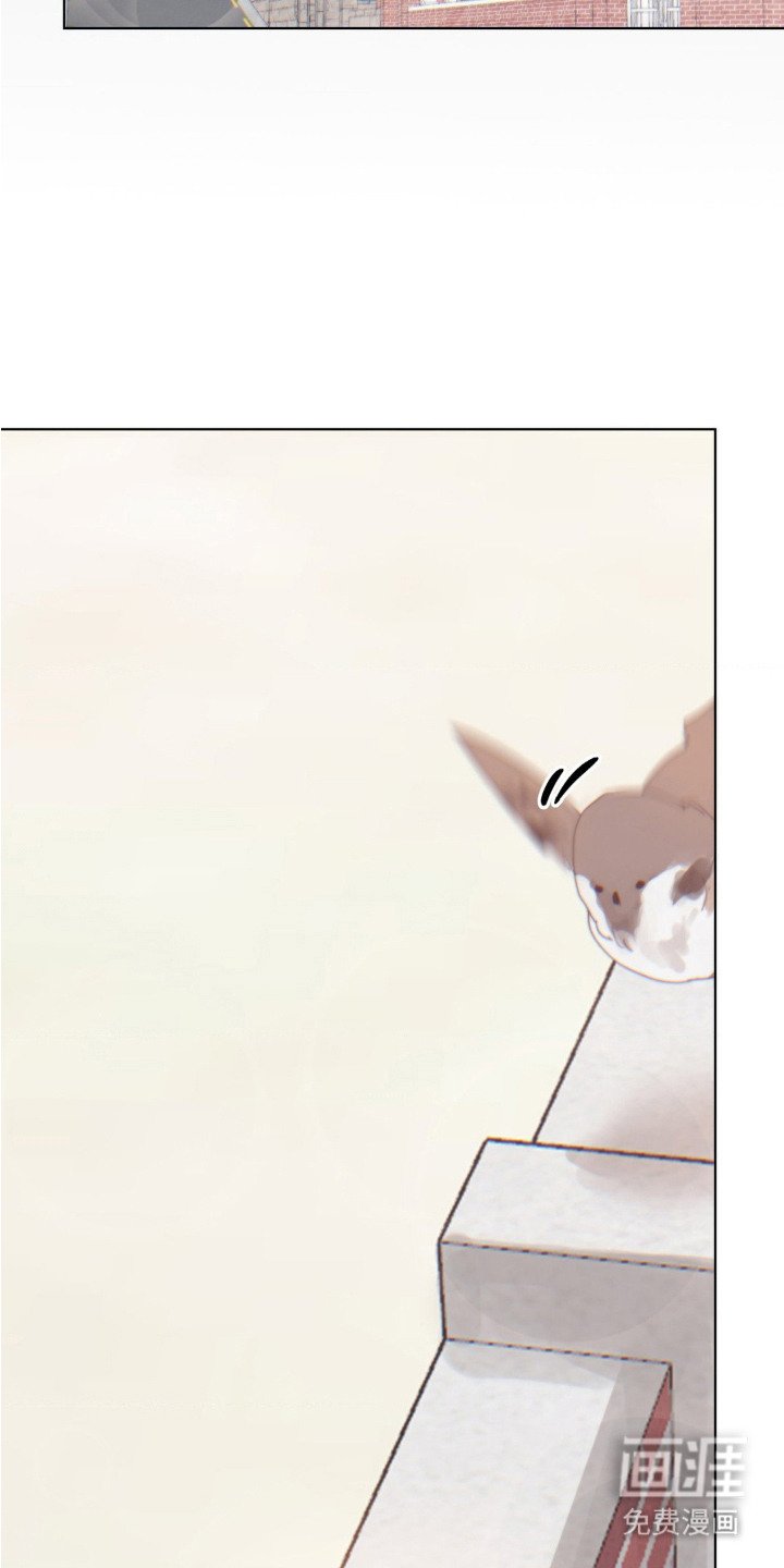 第19章：想念