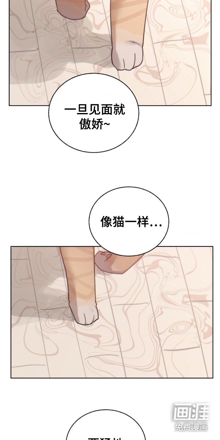 第9章：秘诀