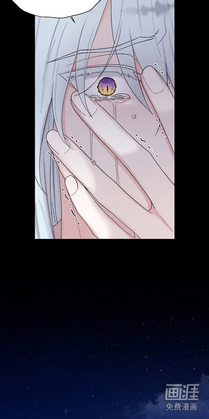 第11章：循环往复