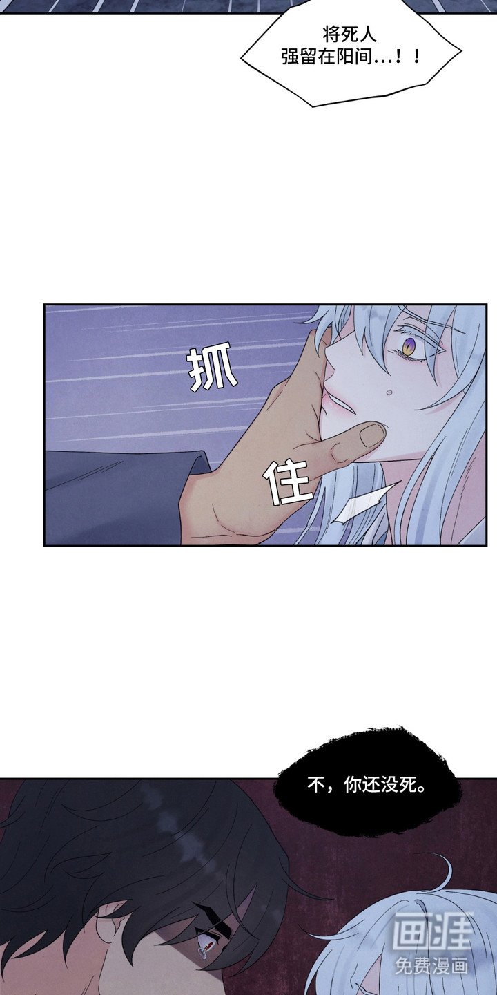 第13章：结界