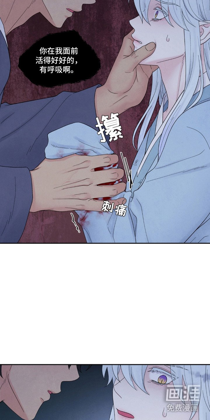 第13章：结界