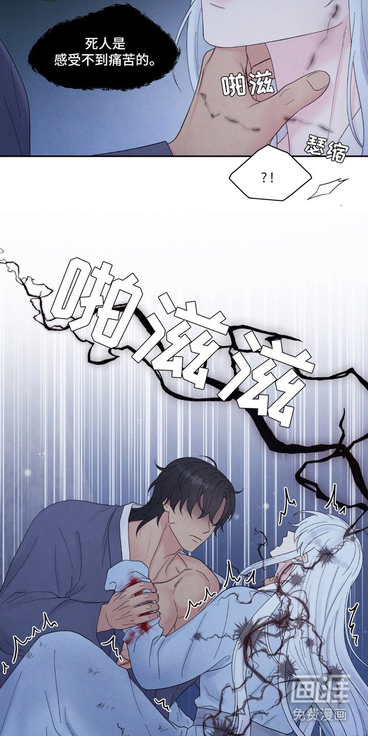 第13章：结界