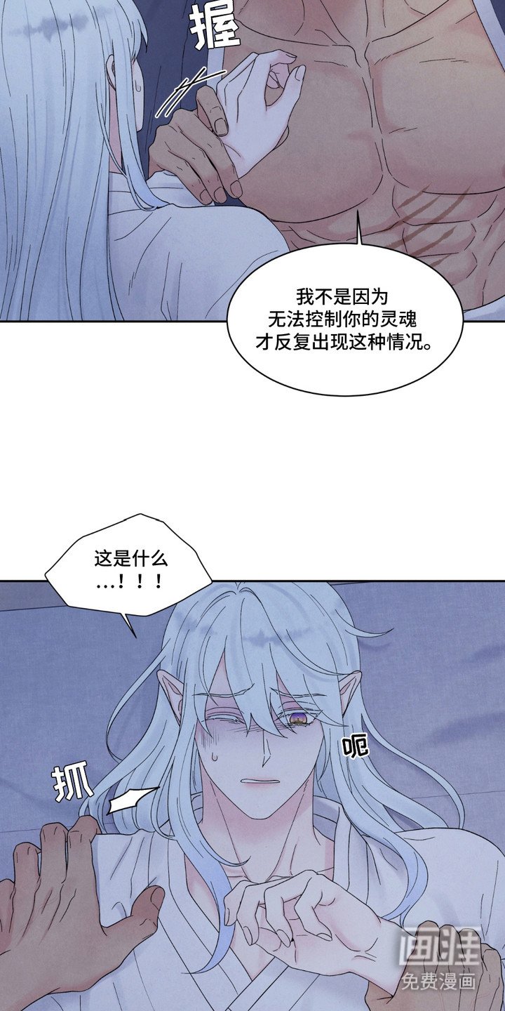第15章：编造过去