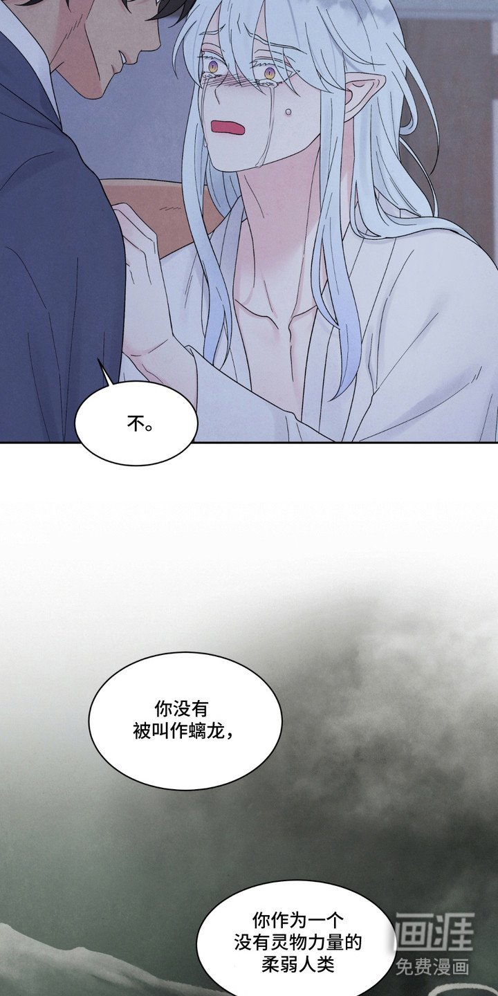 第15章：编造过去