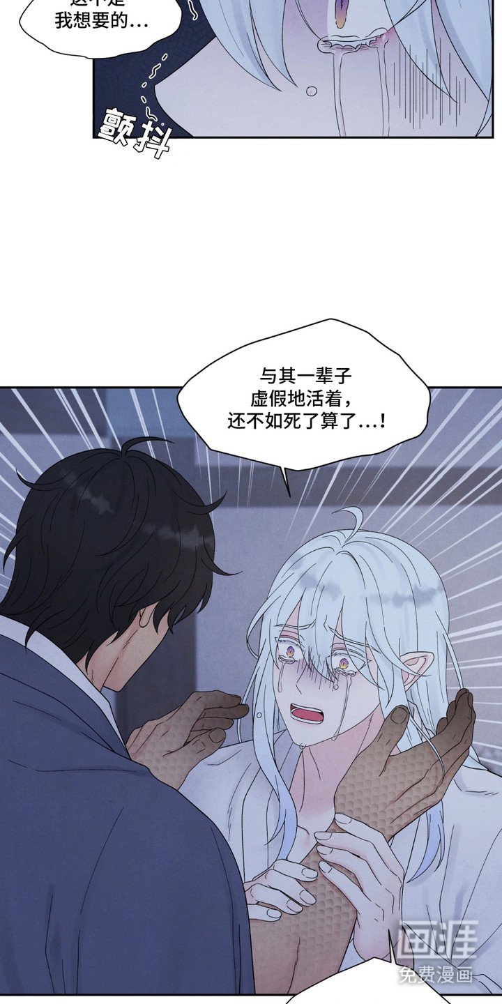 第15章：编造过去