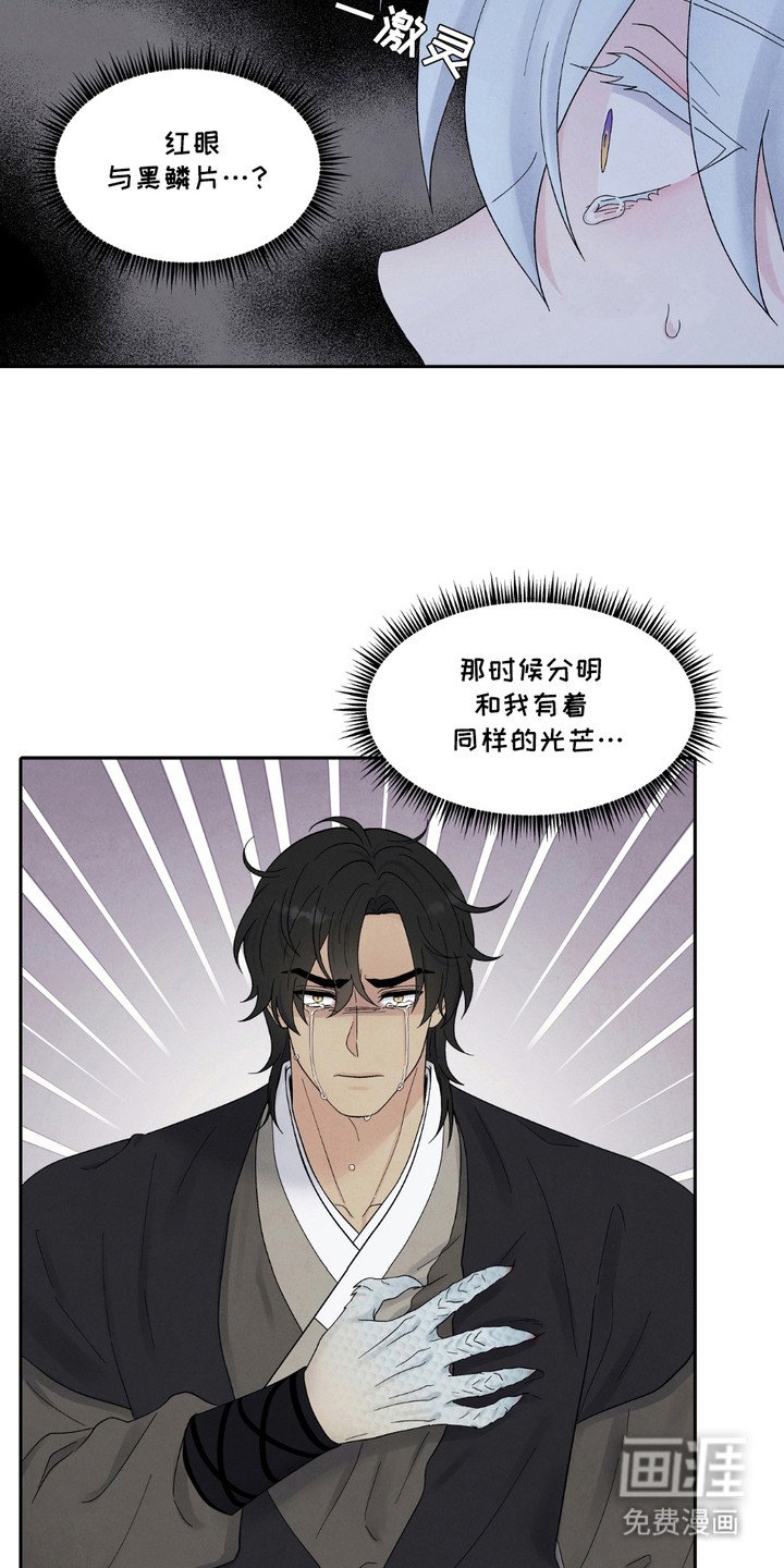 第15章：编造过去