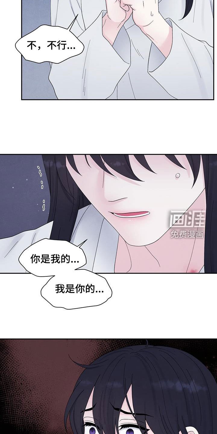 第17章：虚假的他