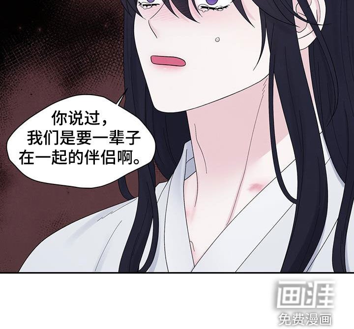 第17章：虚假的他