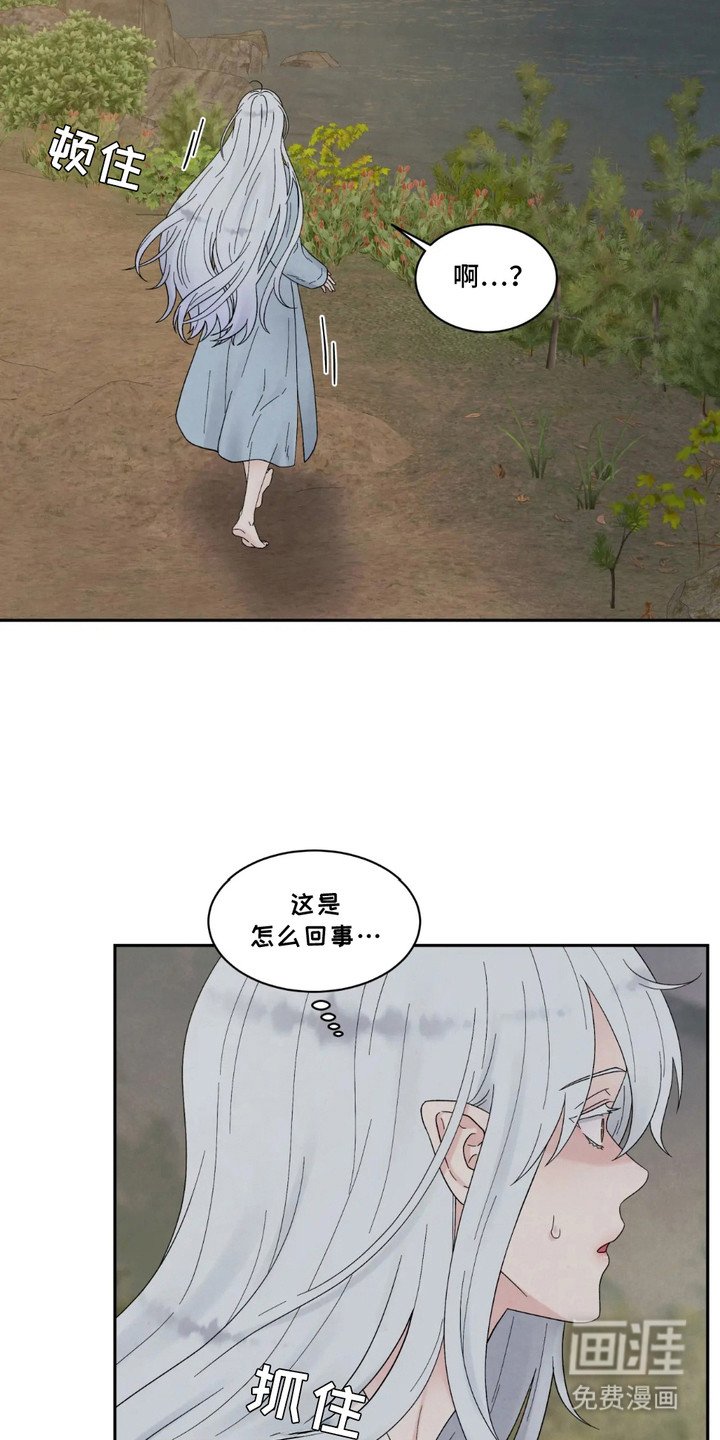 第4章：记忆紊乱