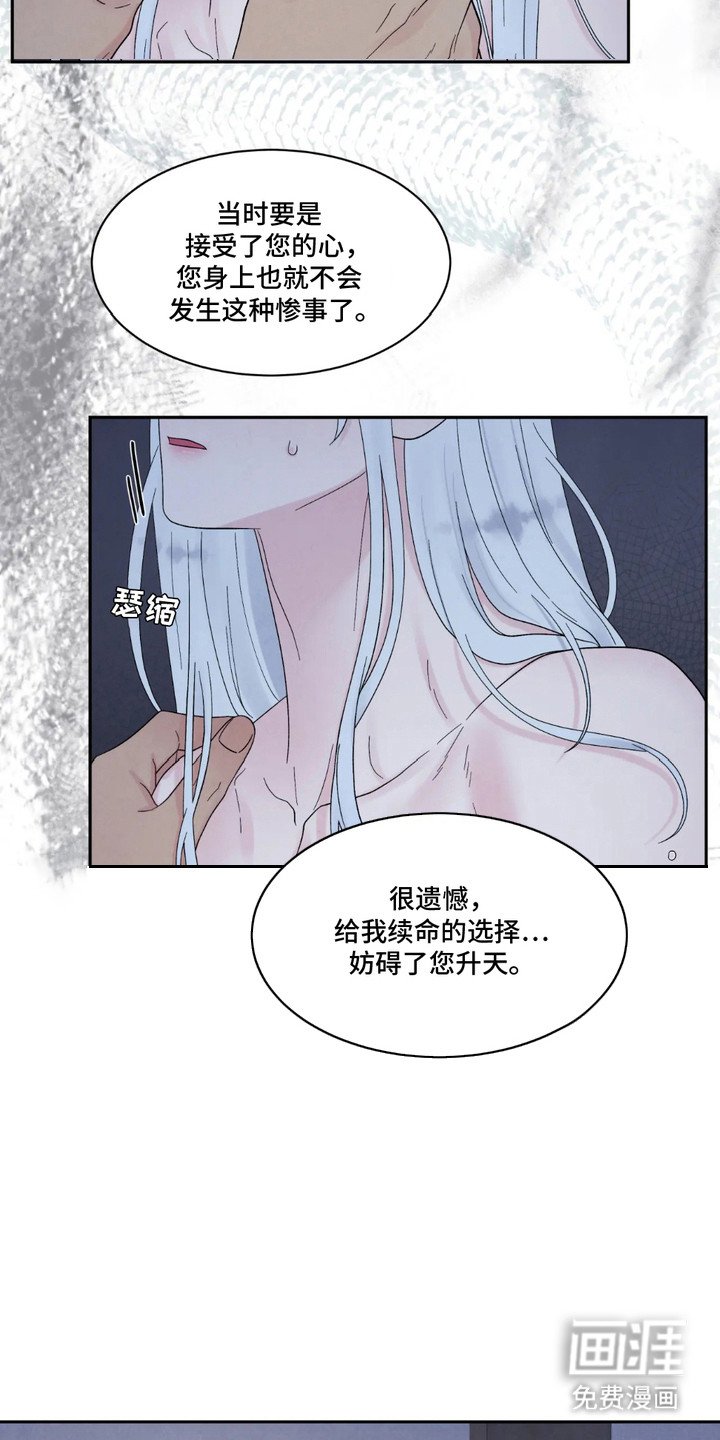 第5章：伤痕