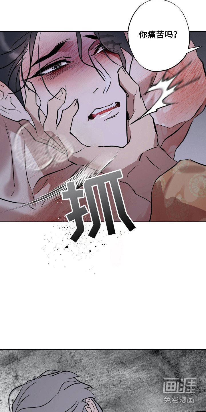 第20章：给予丰饶