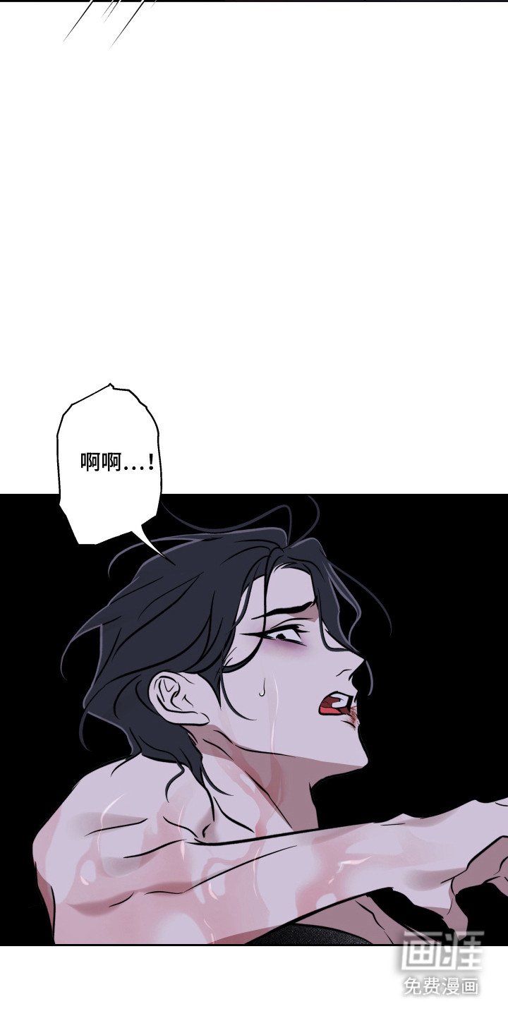 第27章：丰禄收回