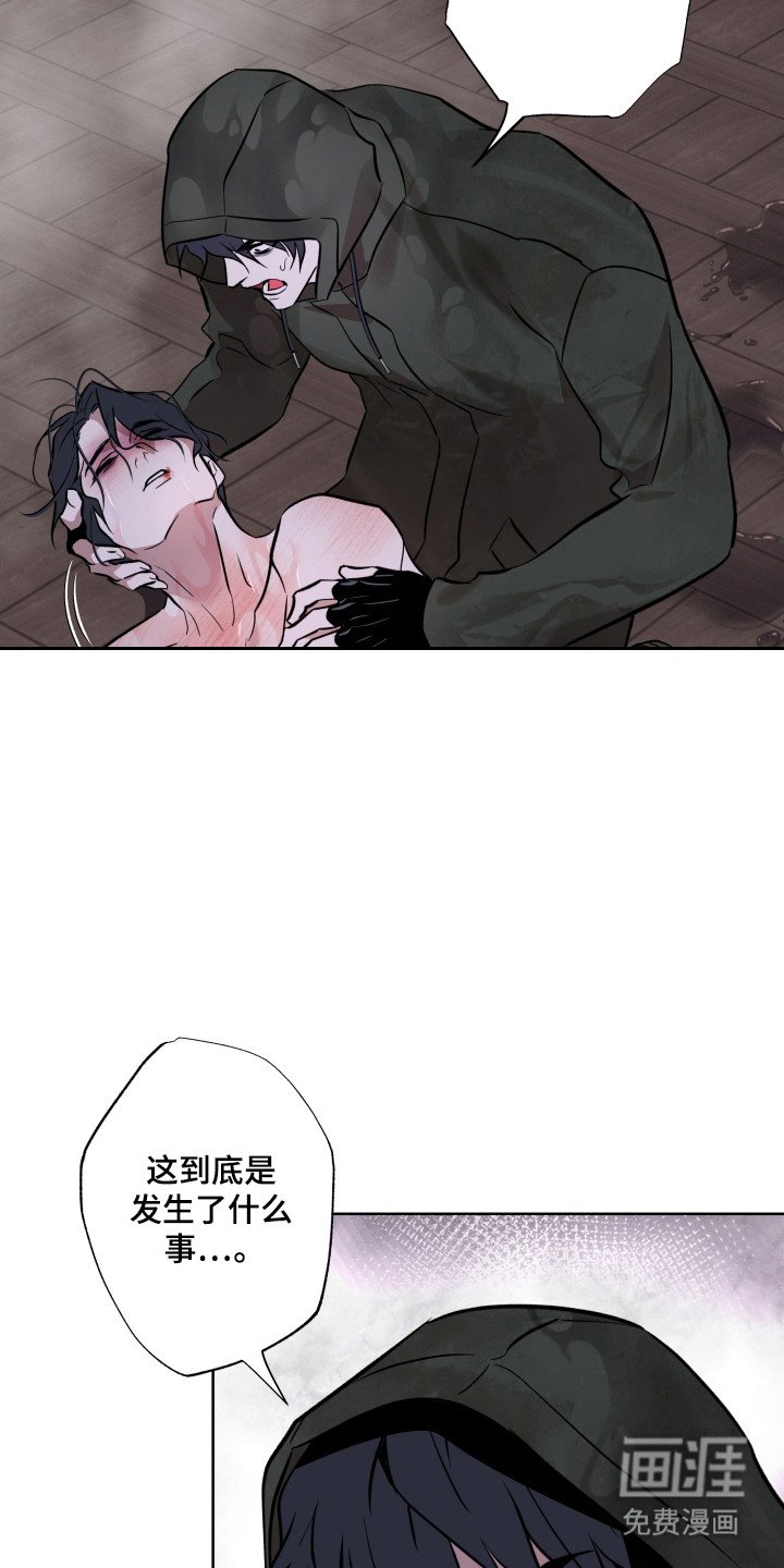 第28章：盛宴时间