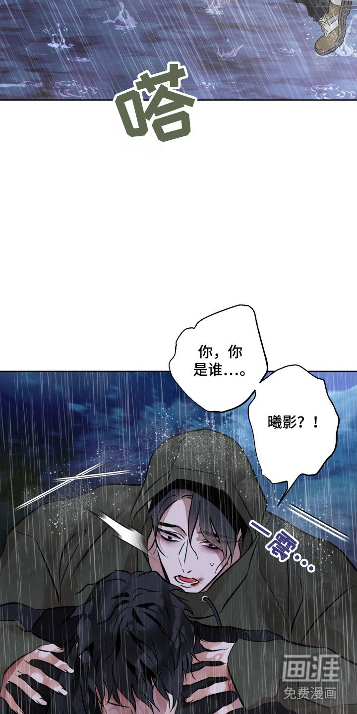 第29章：引走敌人