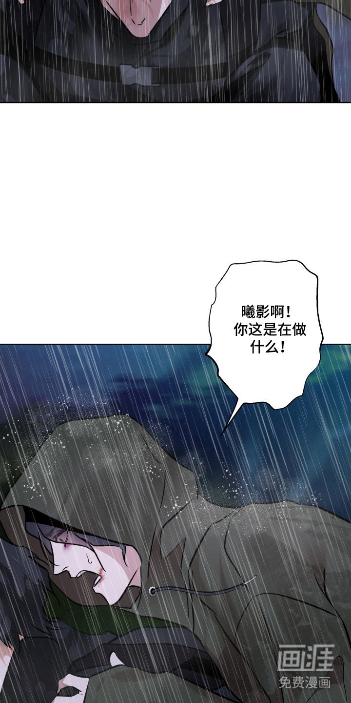 第29章：引走敌人