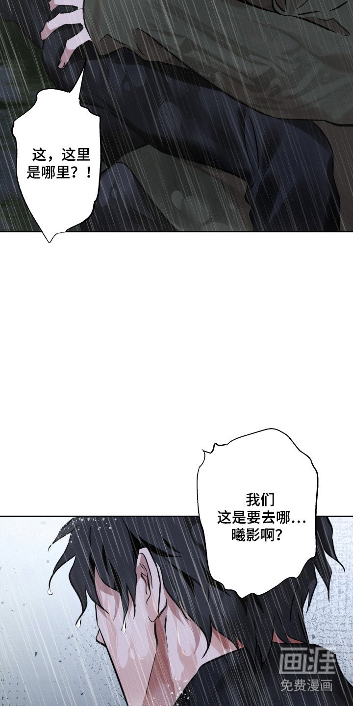 第29章：引走敌人