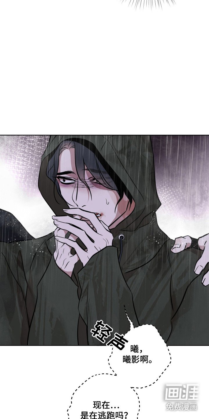第29章：引走敌人
