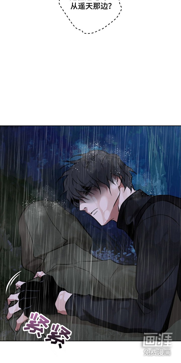 第29章：引走敌人