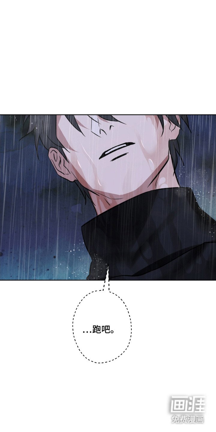 第29章：引走敌人