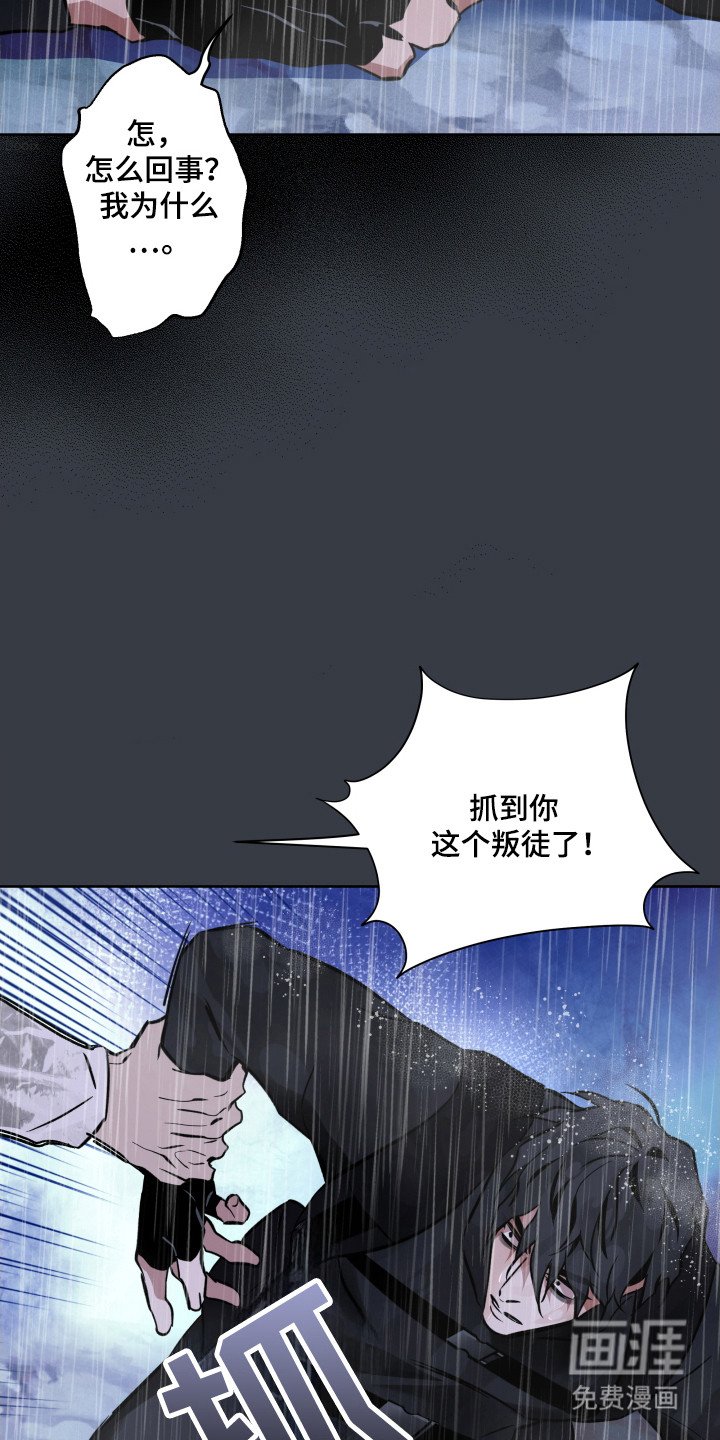 第32章：自由自在