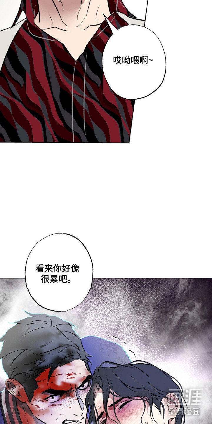 第36章：知道原因