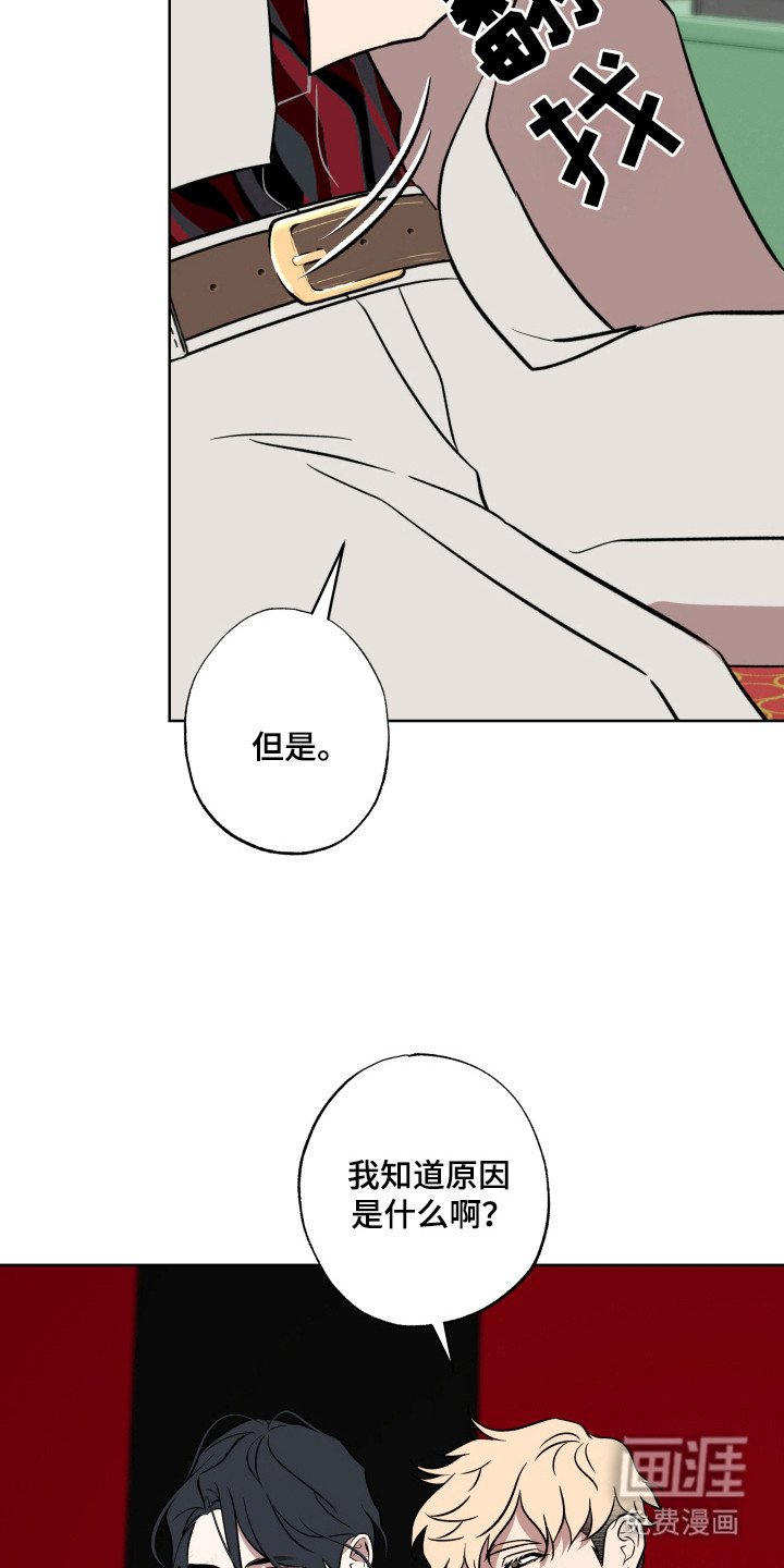 第36章：知道原因