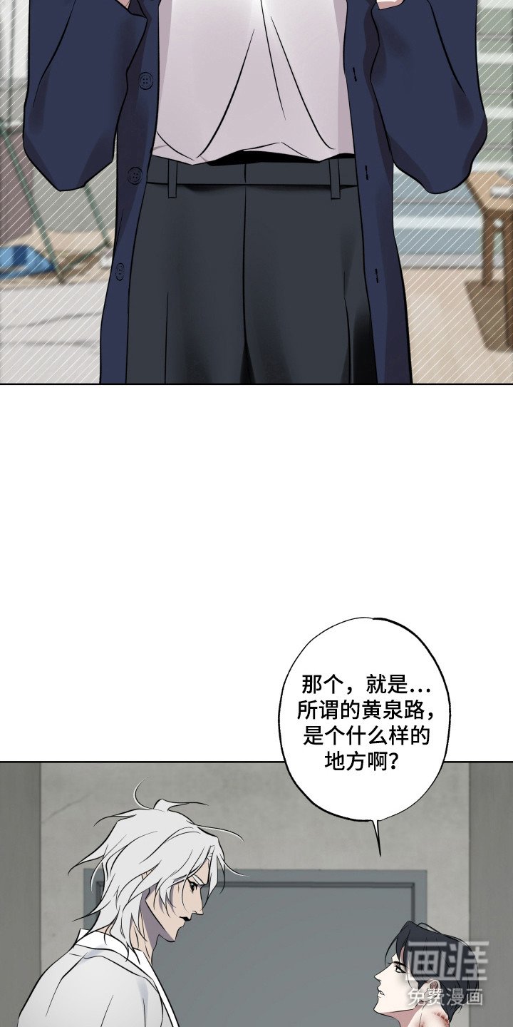 第46章：亡灵世界