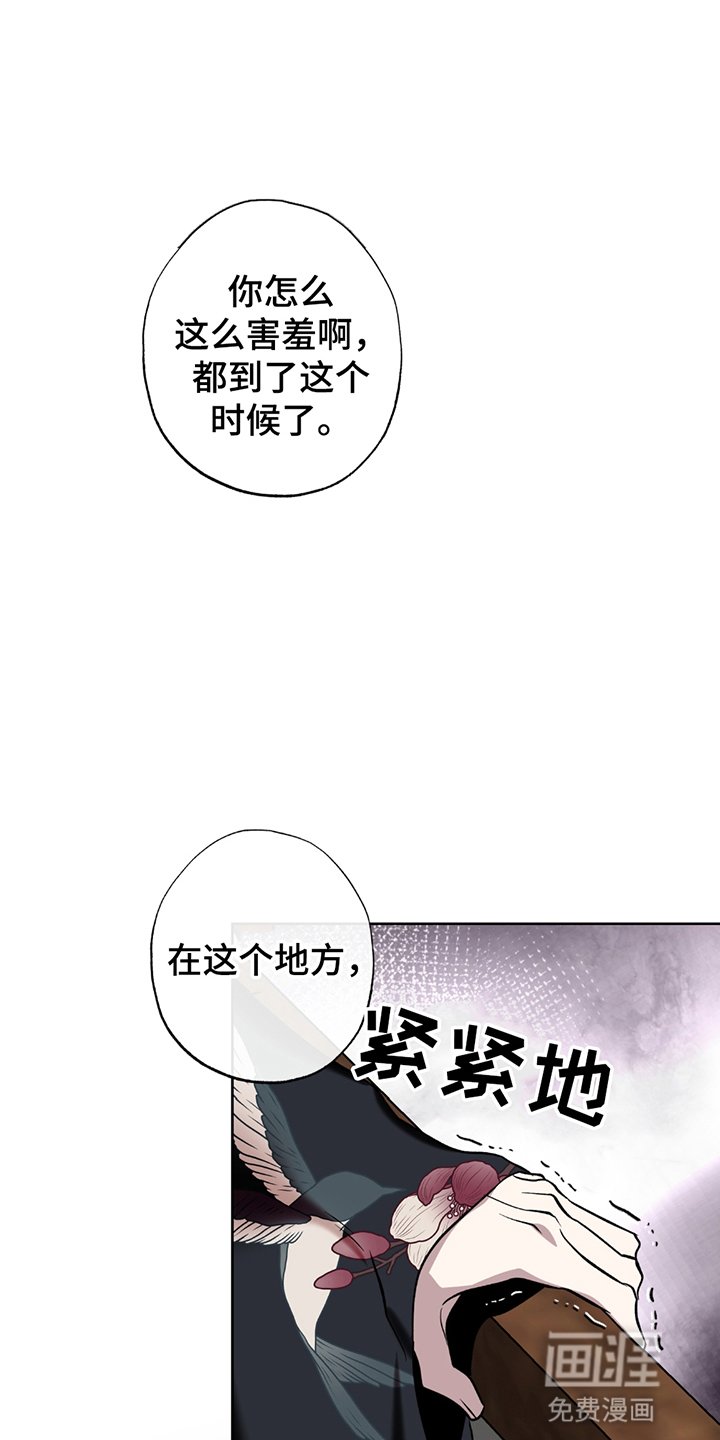 第5章：申请