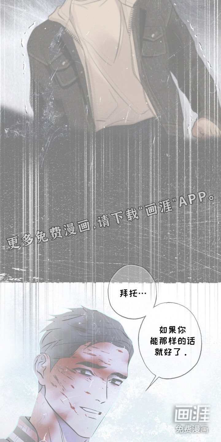 第51章：使用力量