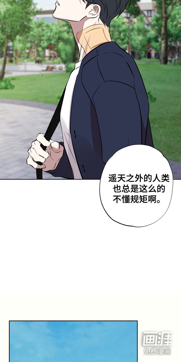 第54章：神明帮助