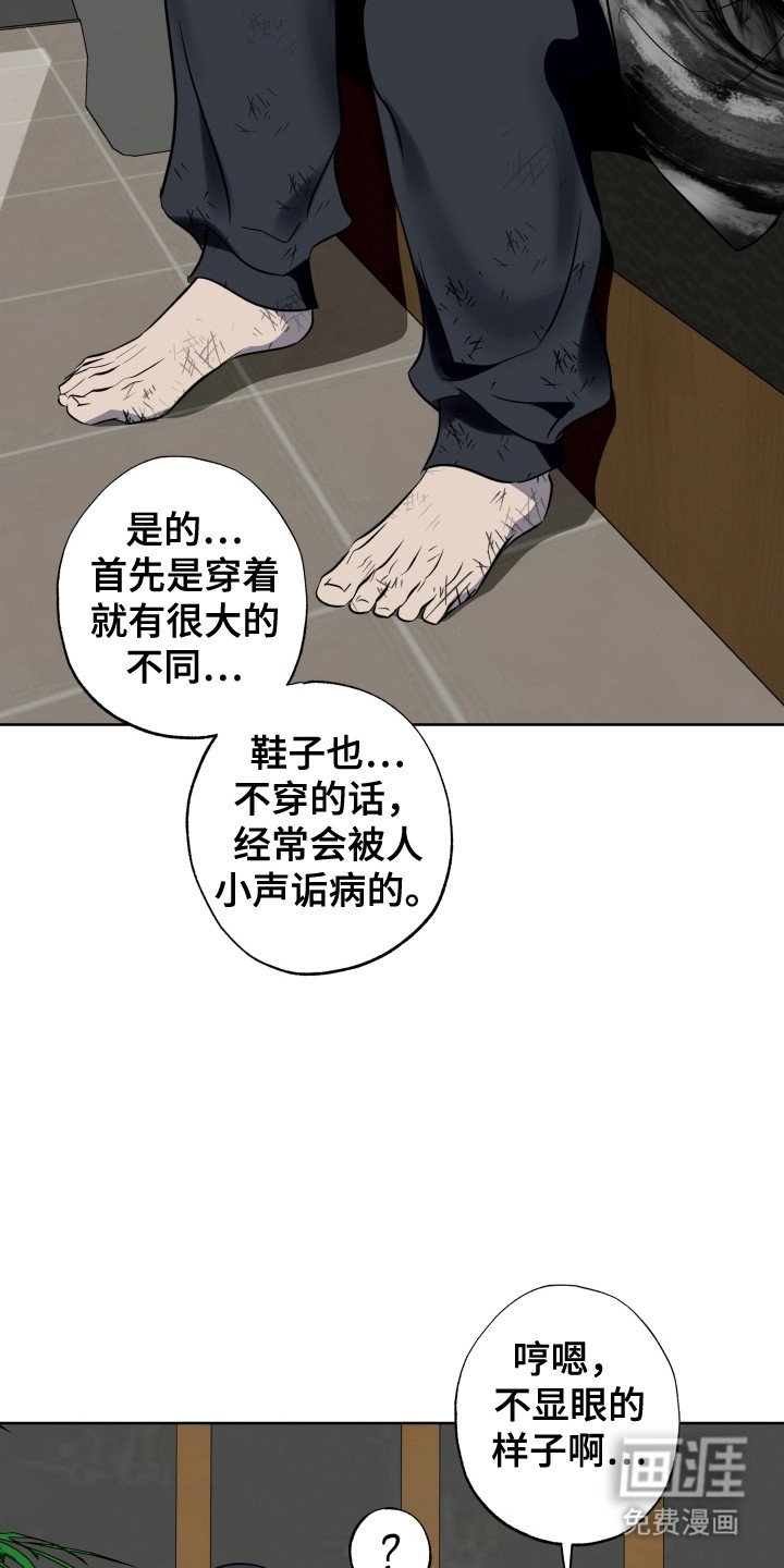 第55章：神为标准