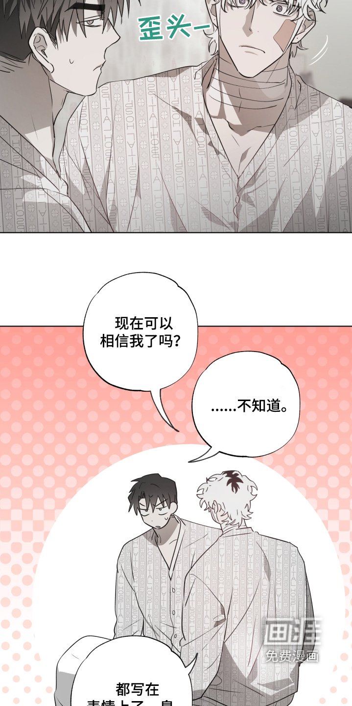 第16章：有人来看我