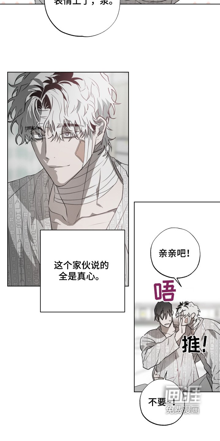 第16章：有人来看我