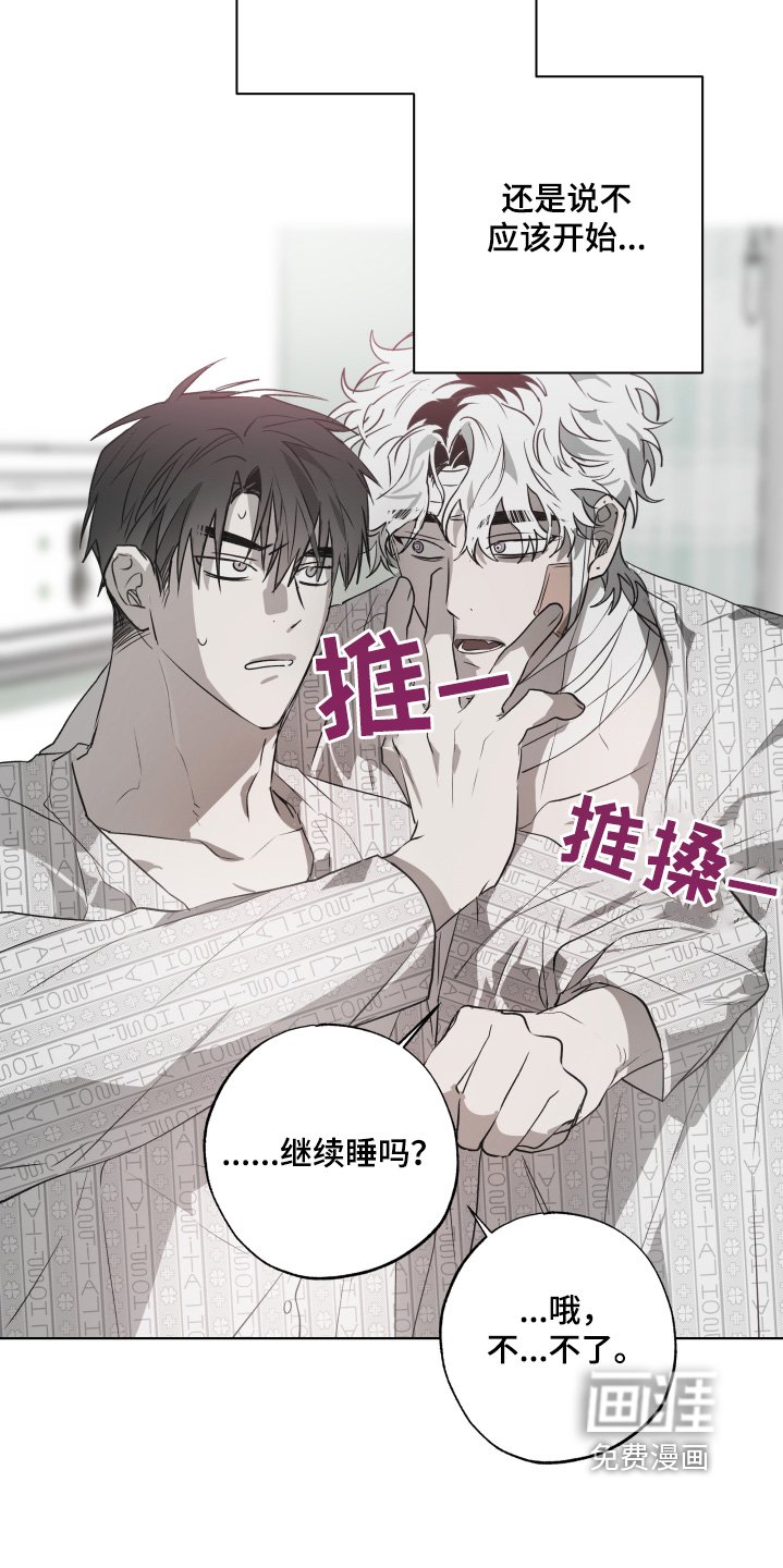 第16章：有人来看我
