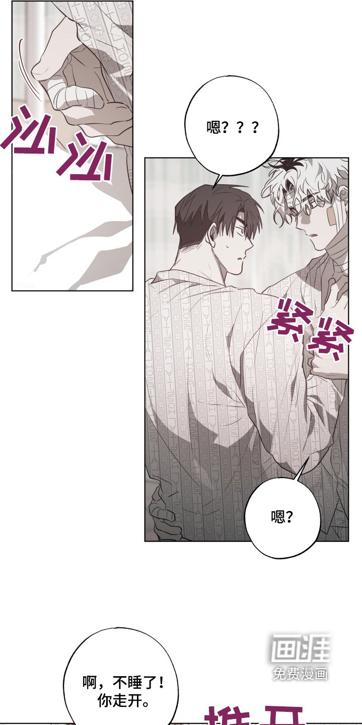 第16章：有人来看我