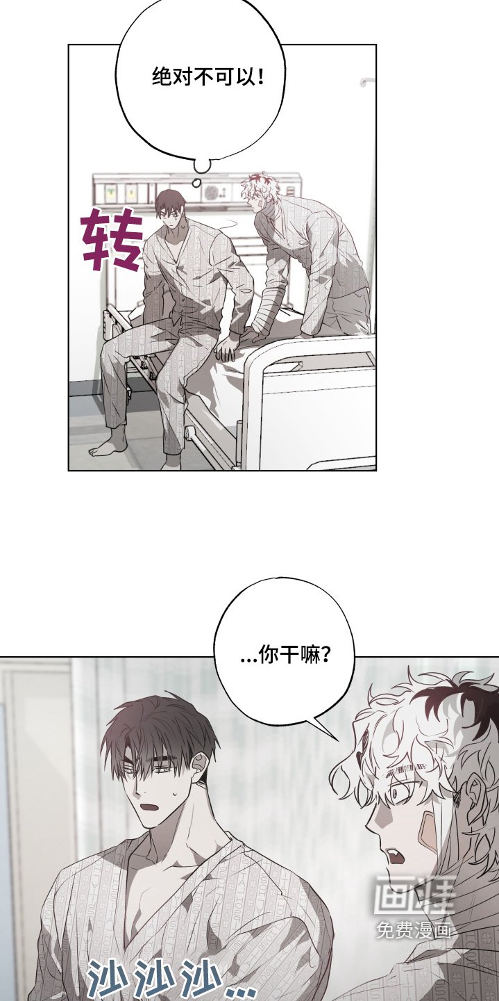 第16章：有人来看我