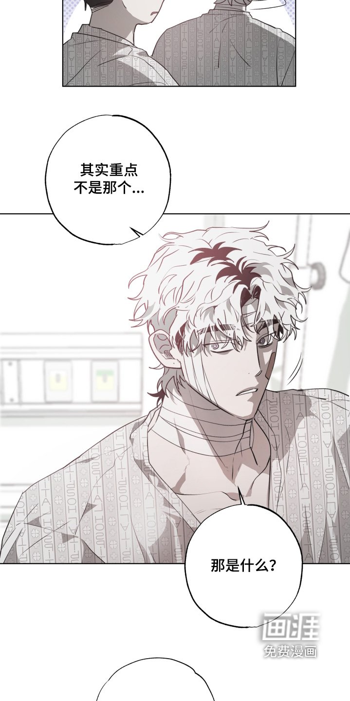 第16章：有人来看我