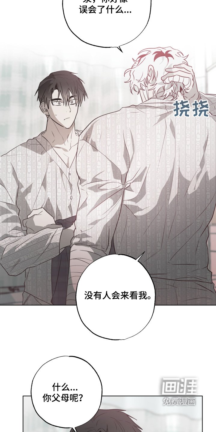 第16章：有人来看我