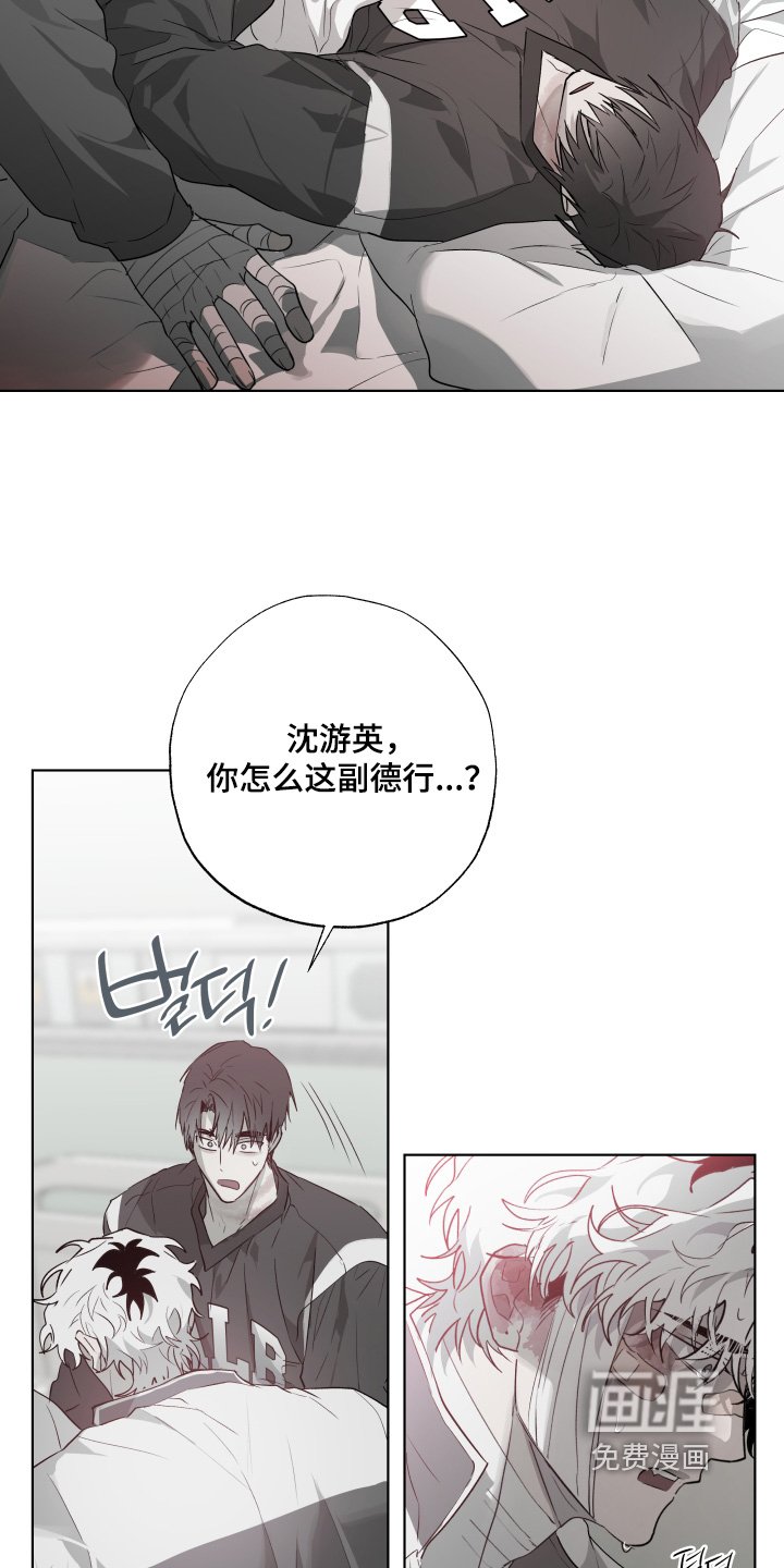 第29章：原来是梦