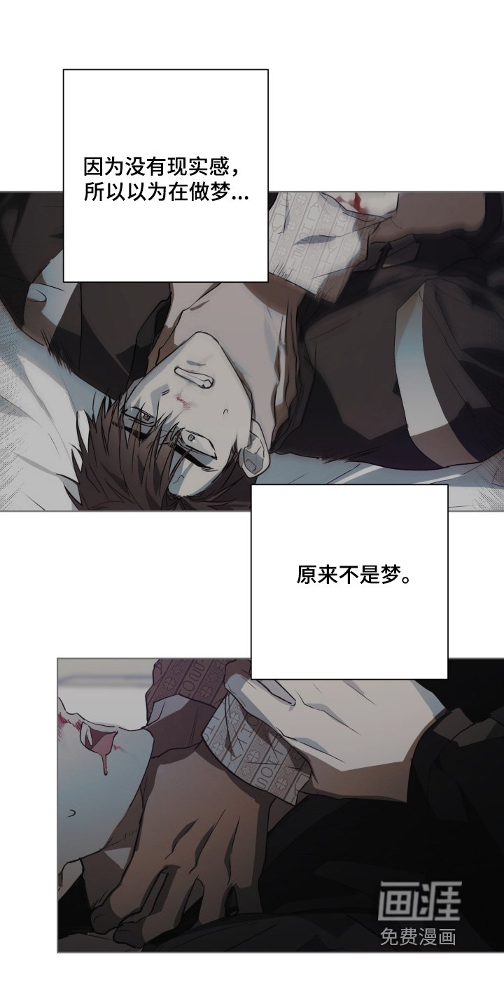第29章：原来是梦