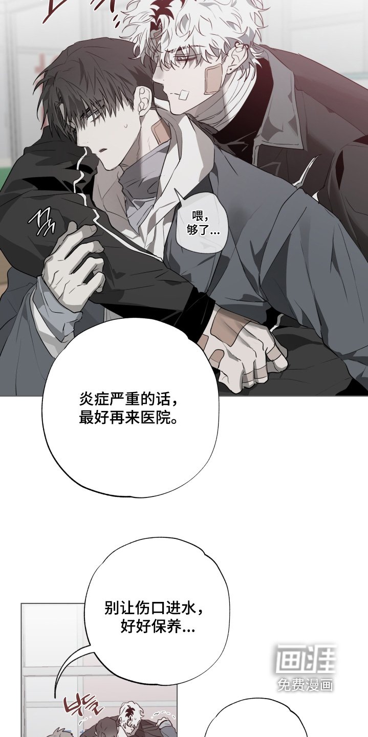 第31章：送你回家