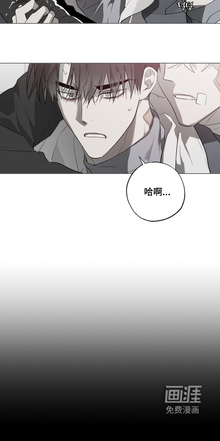 第31章：送你回家