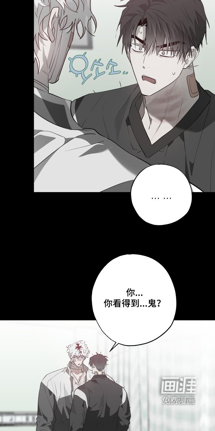 第31章：送你回家