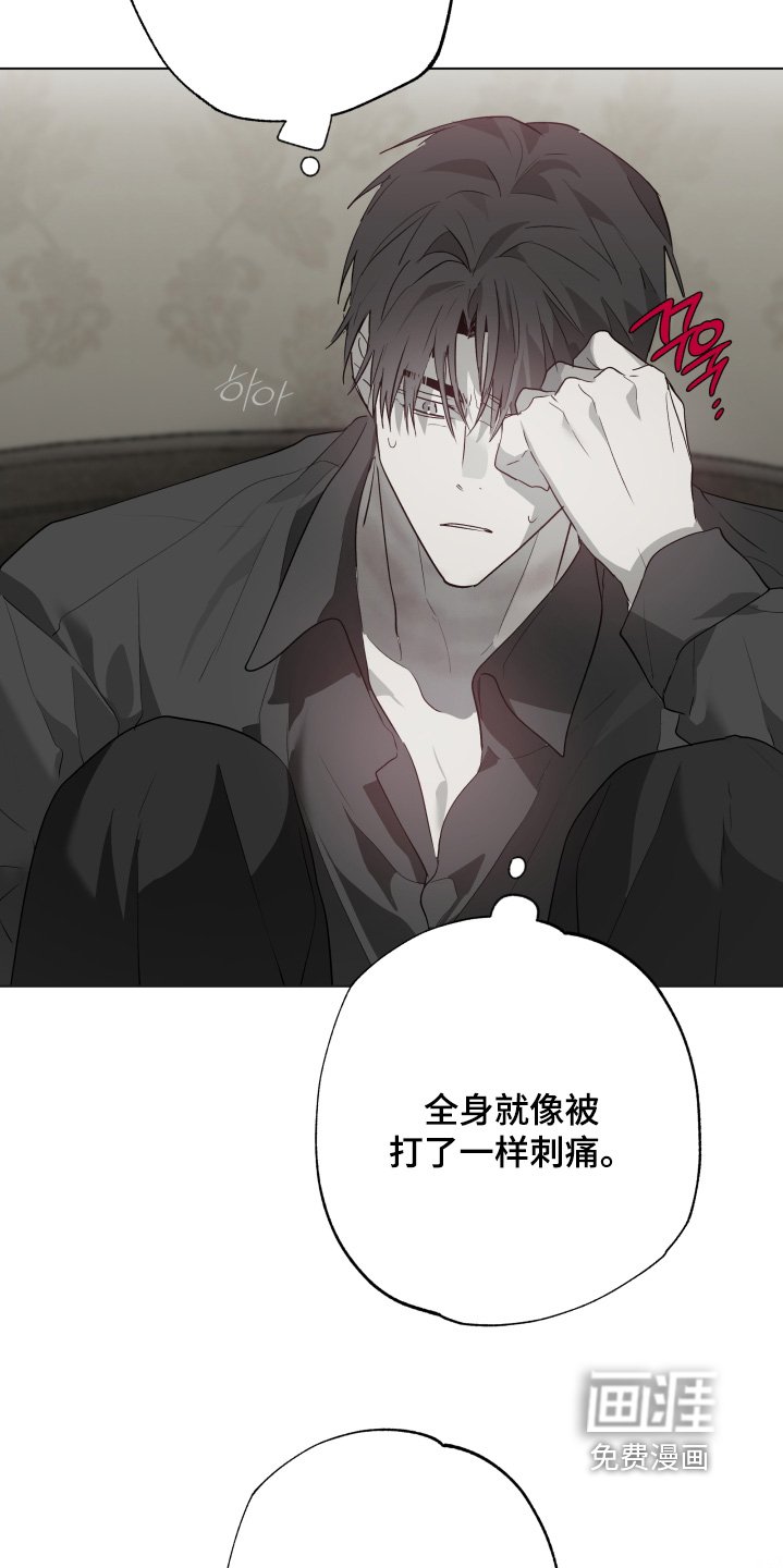 第36章：发生了什么事