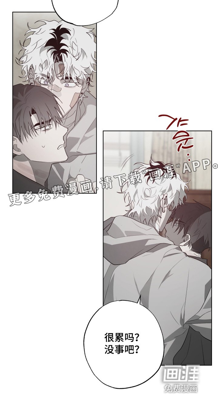 第36章：发生了什么事