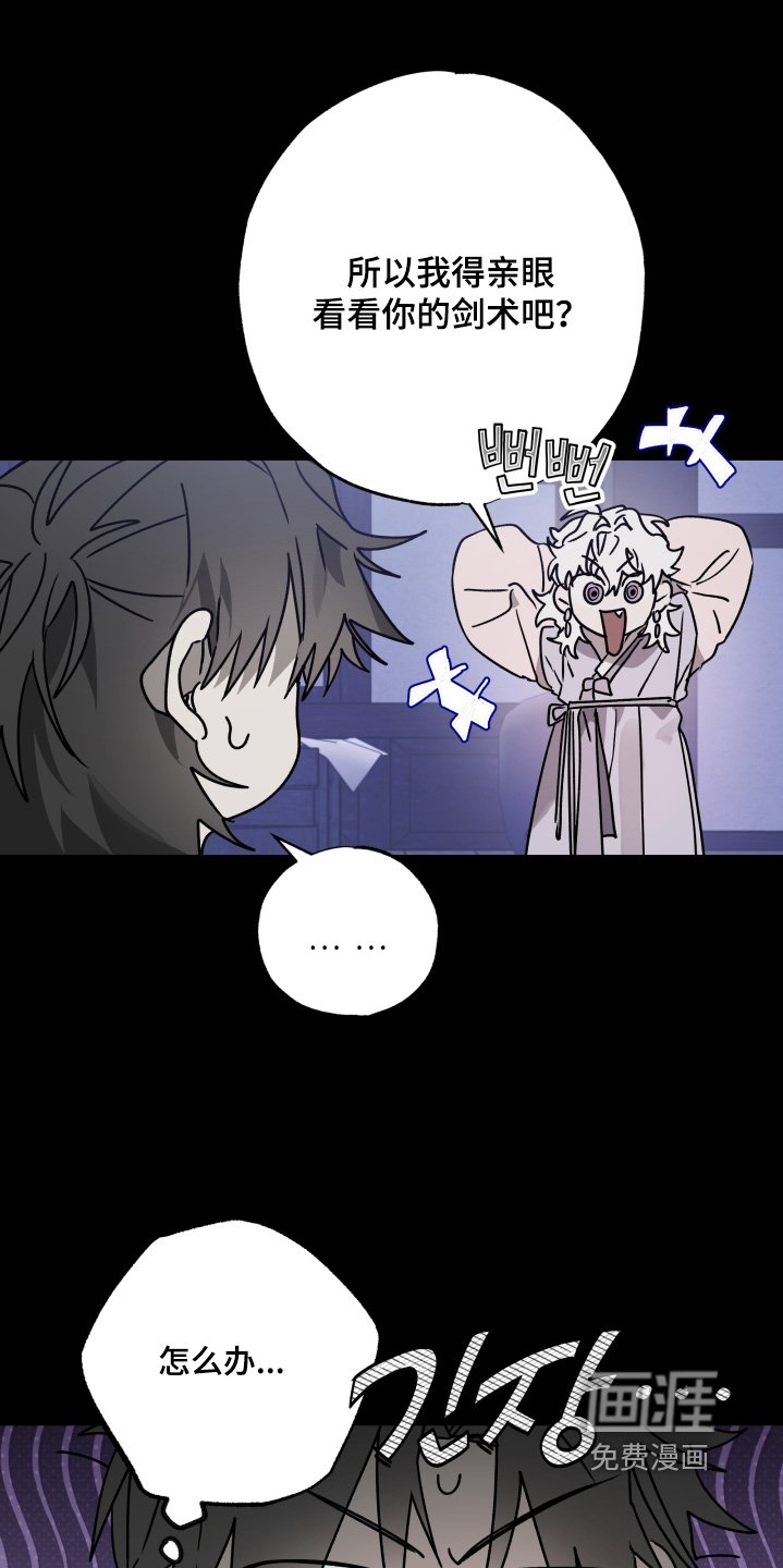 第41章：【第二季】剑术