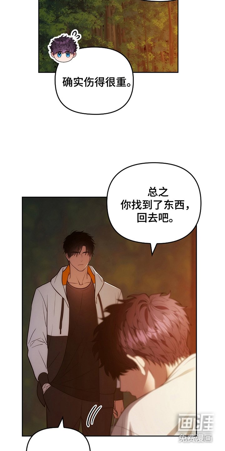第13章：巫师