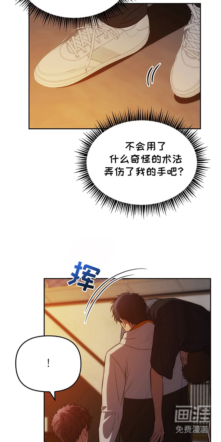 第13章：巫师